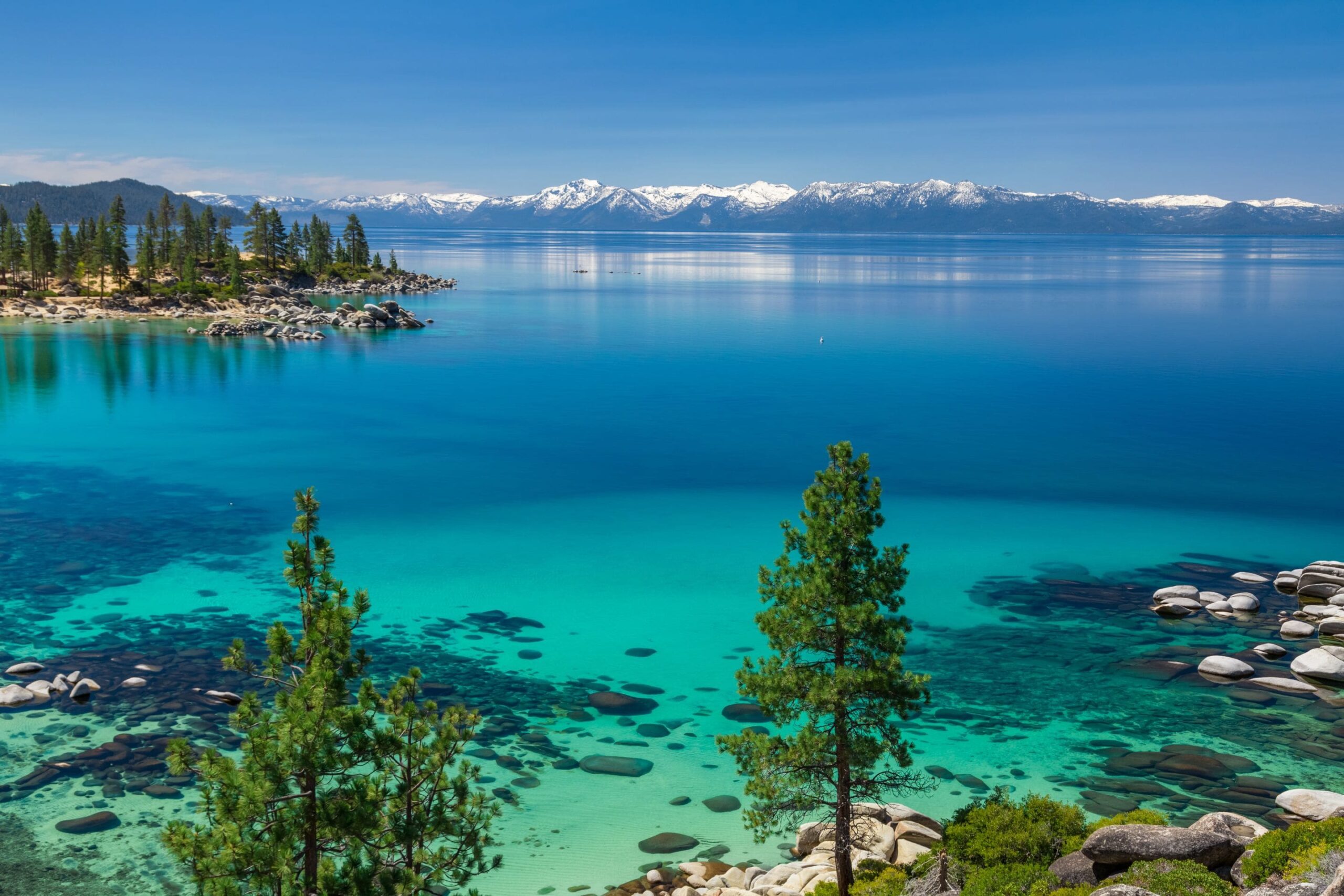 blue green Lake Tahoe with evergreen trees in the foreground and snowy mountains in the background