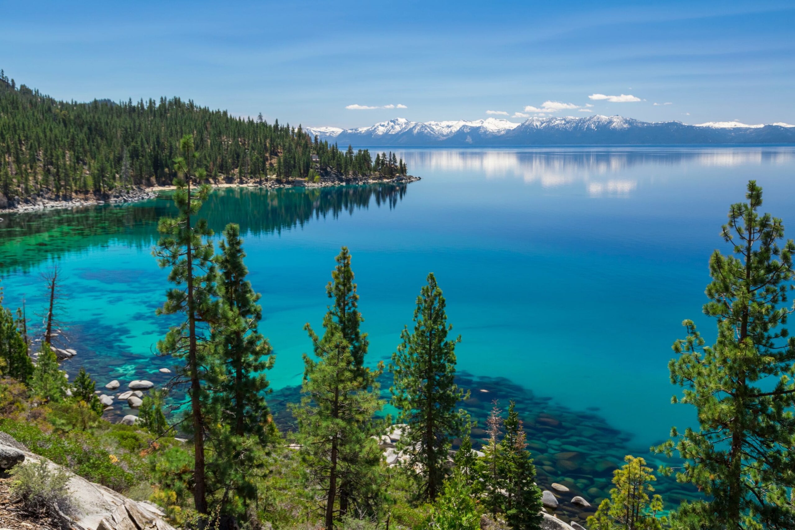 aerial shot of lake tahoe with evergreen trees in the foreground and mountains in the background