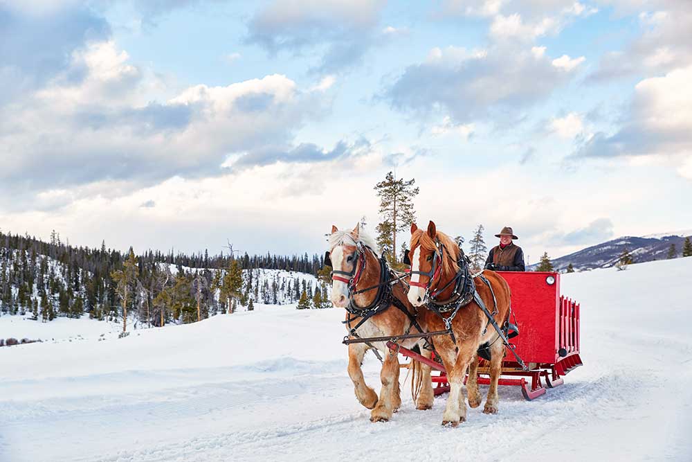 Horse Drawn Sleigh Beaver Creek