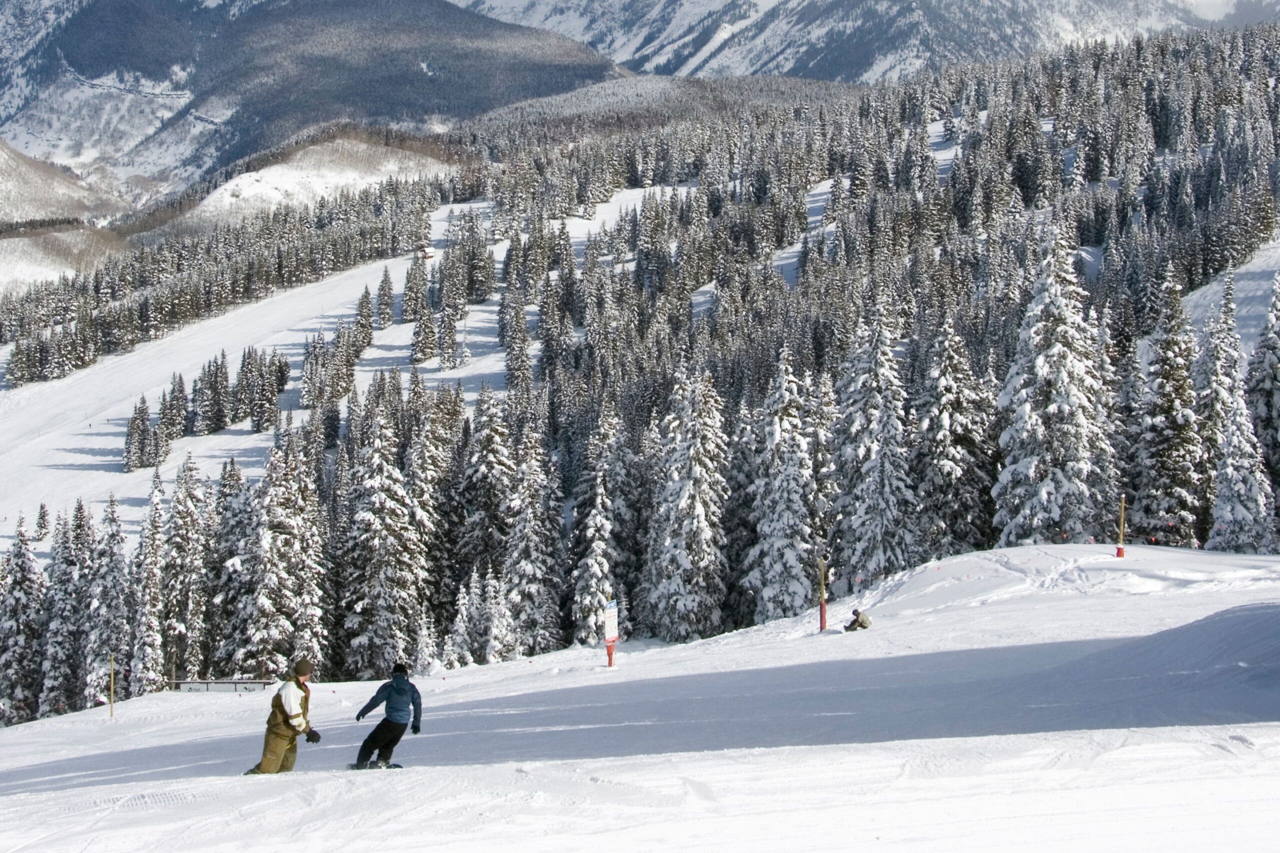 a few people skiing and snowboarding down a run with snow dusted evergreens in the background