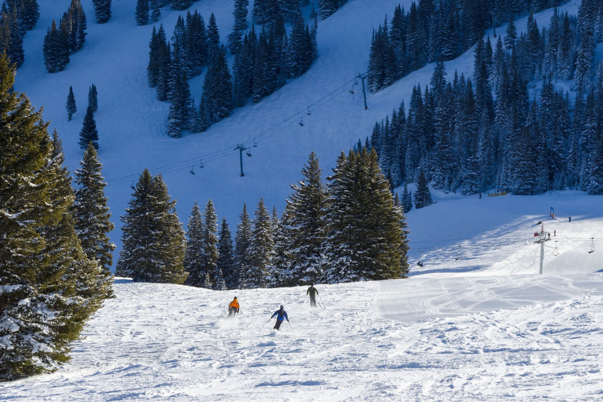 shot far away people skiing down a snowy run with evergreen trees in Vail