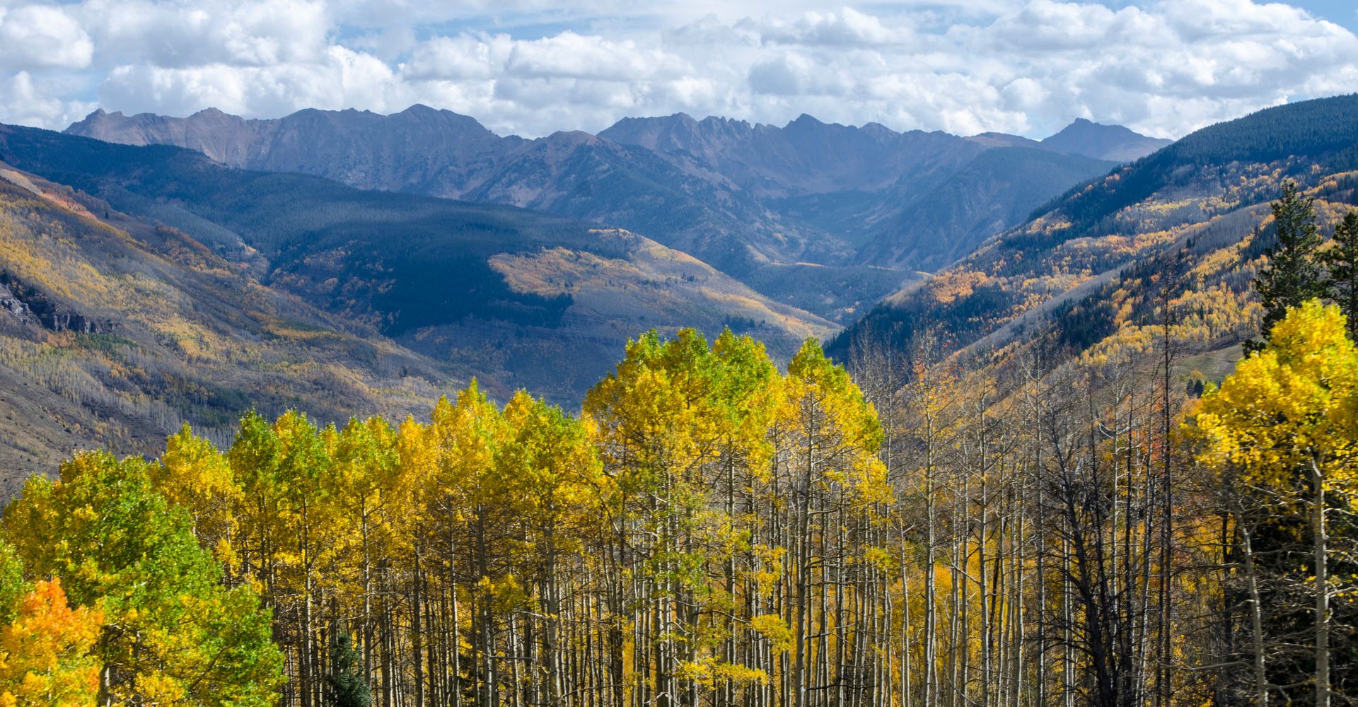 Vibrant autumn foliage in Colorado, showcasing a stunning array of red, orange, and yellow leaves against a clear blue sky